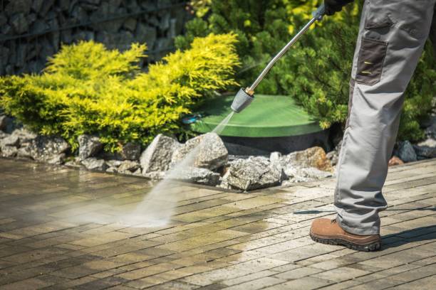Best Gutter Cleaning  in Temple Hills, MD